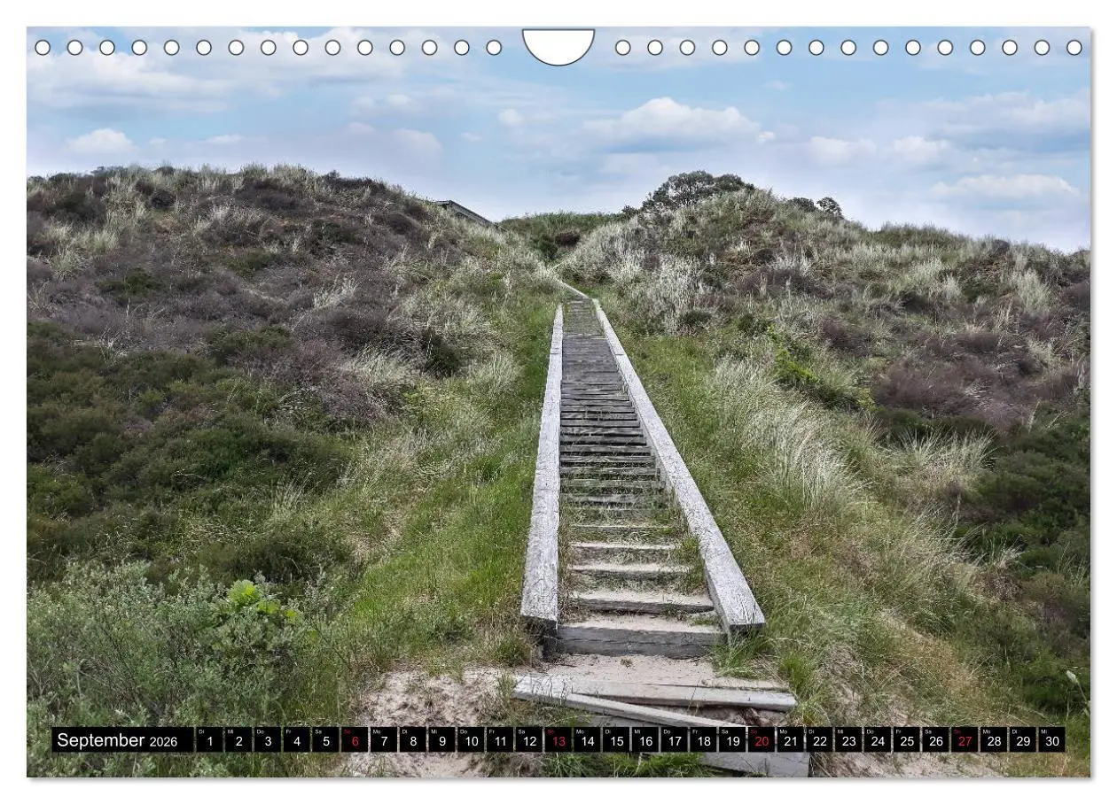 Bild: 9783457789544 | Urlaub auf Römö (Wandkalender 2026 DIN A4 quer), CALVENDO...