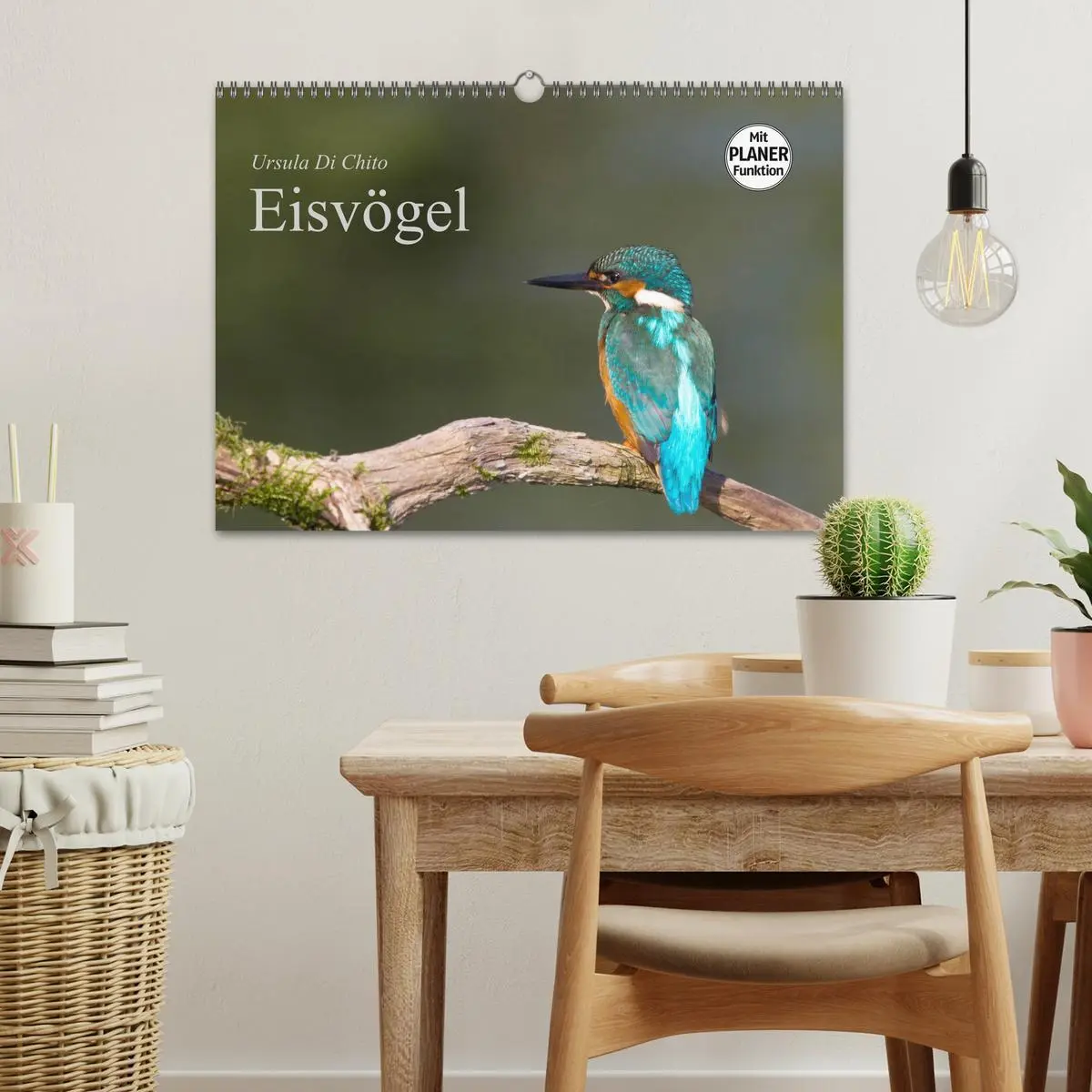 Bild: 9783516189544 | Eisvögel (Wandkalender 2026 DIN A3 quer), CALVENDO Monatskalender