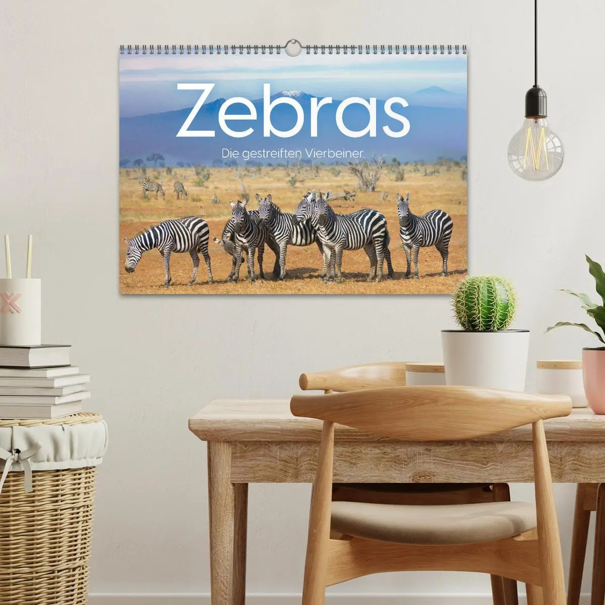 Bild: 9783457539644 | Zebras - Die gestreiften Vierbeiner. (Wandkalender 2026 DIN A3...