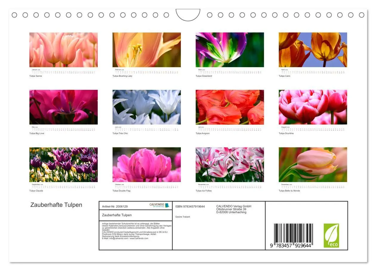 Bild: 9783457919644 | Zauberhafte Tulpen (Wandkalender 2026 DIN A4 quer), CALVENDO...