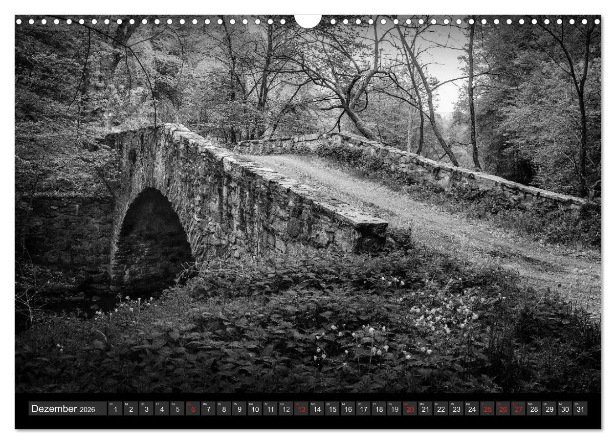 Bild: 9783516009644 | Morbide Zeitzeugen - Orte der Vergänglichkeit (Wandkalender 2026...