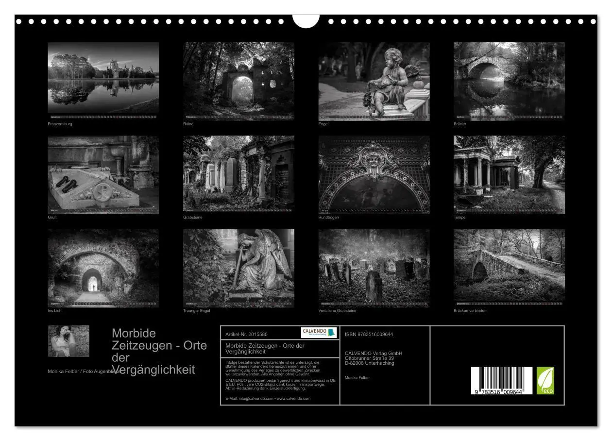 Bild: 9783516009644 | Morbide Zeitzeugen - Orte der Vergänglichkeit (Wandkalender 2026...