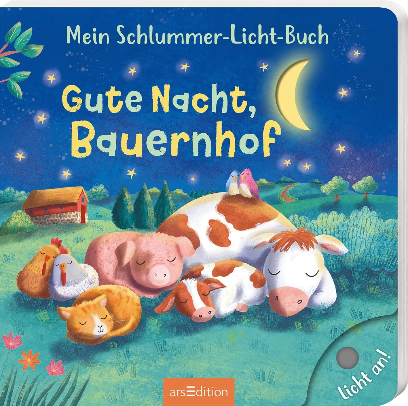 Cover: 9783845859644 | Mein Schlummer-Licht-Buch: Gute Nacht, Bauernhof | Mit LED-Lichtern