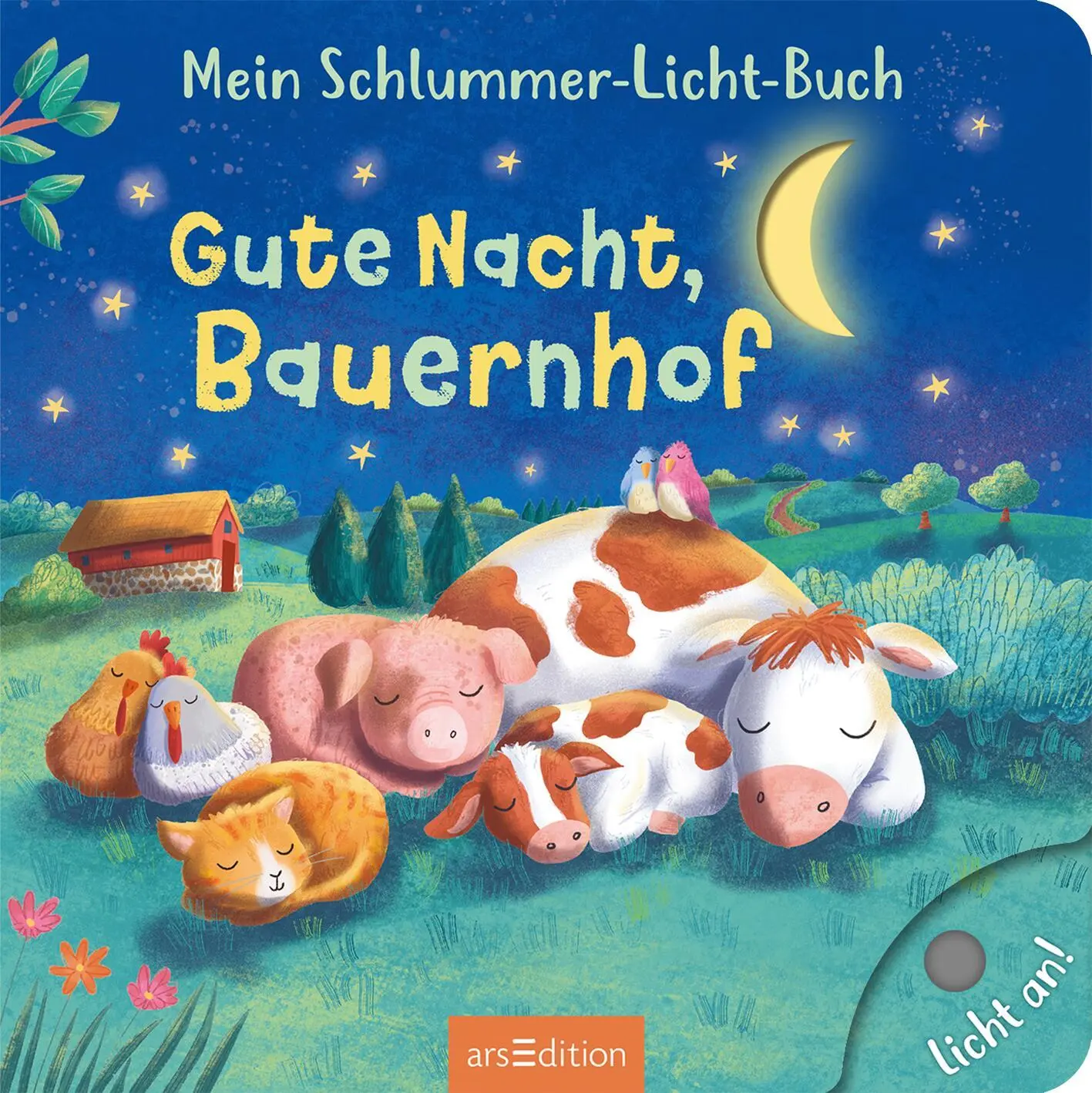 Bild: 9783845859644 | Mein Schlummer-Licht-Buch: Gute Nacht, Bauernhof | Mit LED-Lichtern
