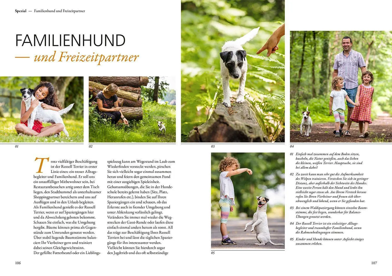 Bild: 9783440149744 | Parson und Jack Russell Terrier | Petra Hagemeier | Taschenbuch | 2022