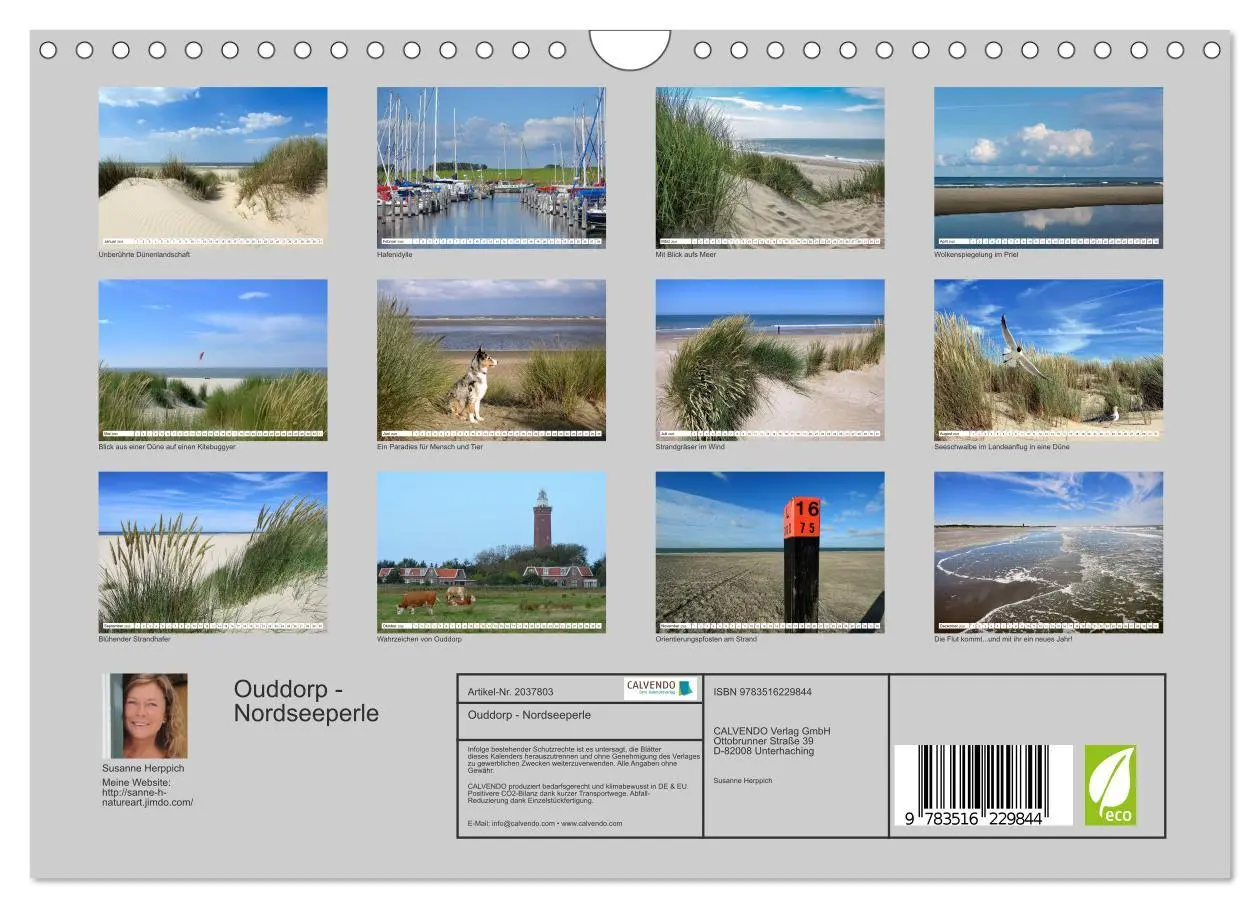 Bild: 9783516229844 | Ouddorp - Nordseeperle (Wandkalender 2026 DIN A4 quer), CALVENDO...