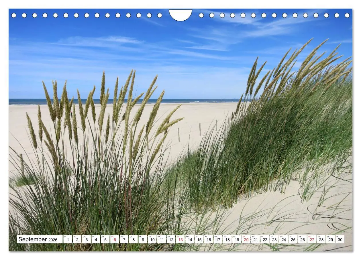 Bild: 9783516229844 | Ouddorp - Nordseeperle (Wandkalender 2026 DIN A4 quer), CALVENDO...