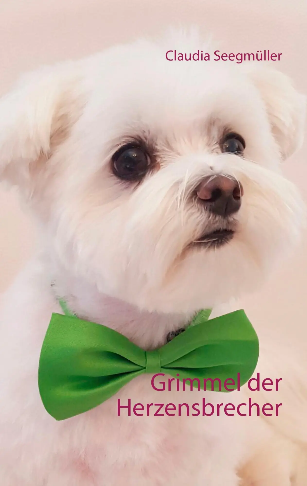 Cover: 9783743179844 | Grimmel der Herzensbrecher | Claudia Seegmüller | Taschenbuch | 132 S.