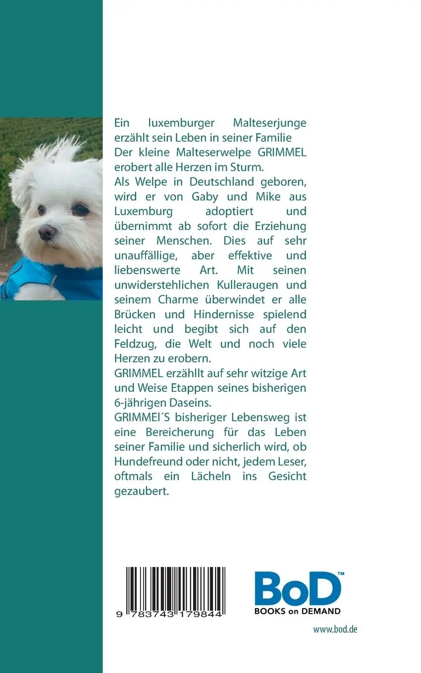 Rückseite: 9783743179844 | Grimmel der Herzensbrecher | Claudia Seegmüller | Taschenbuch | 132 S.