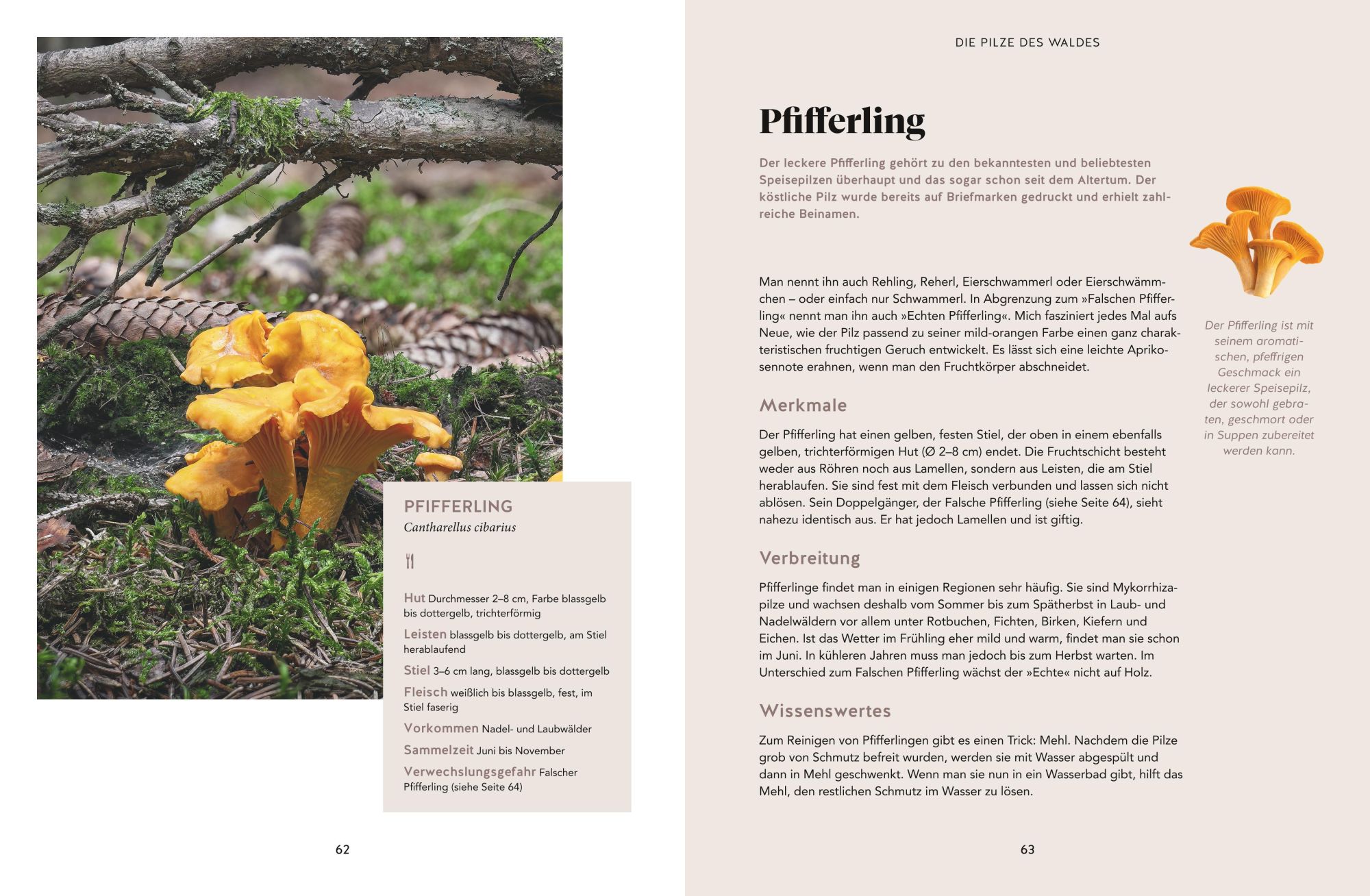 Bild: 9783833889844 | Abenteuer Wald | Fabian Regnery (u. a.) | Buch | GU Natur | 192 S.