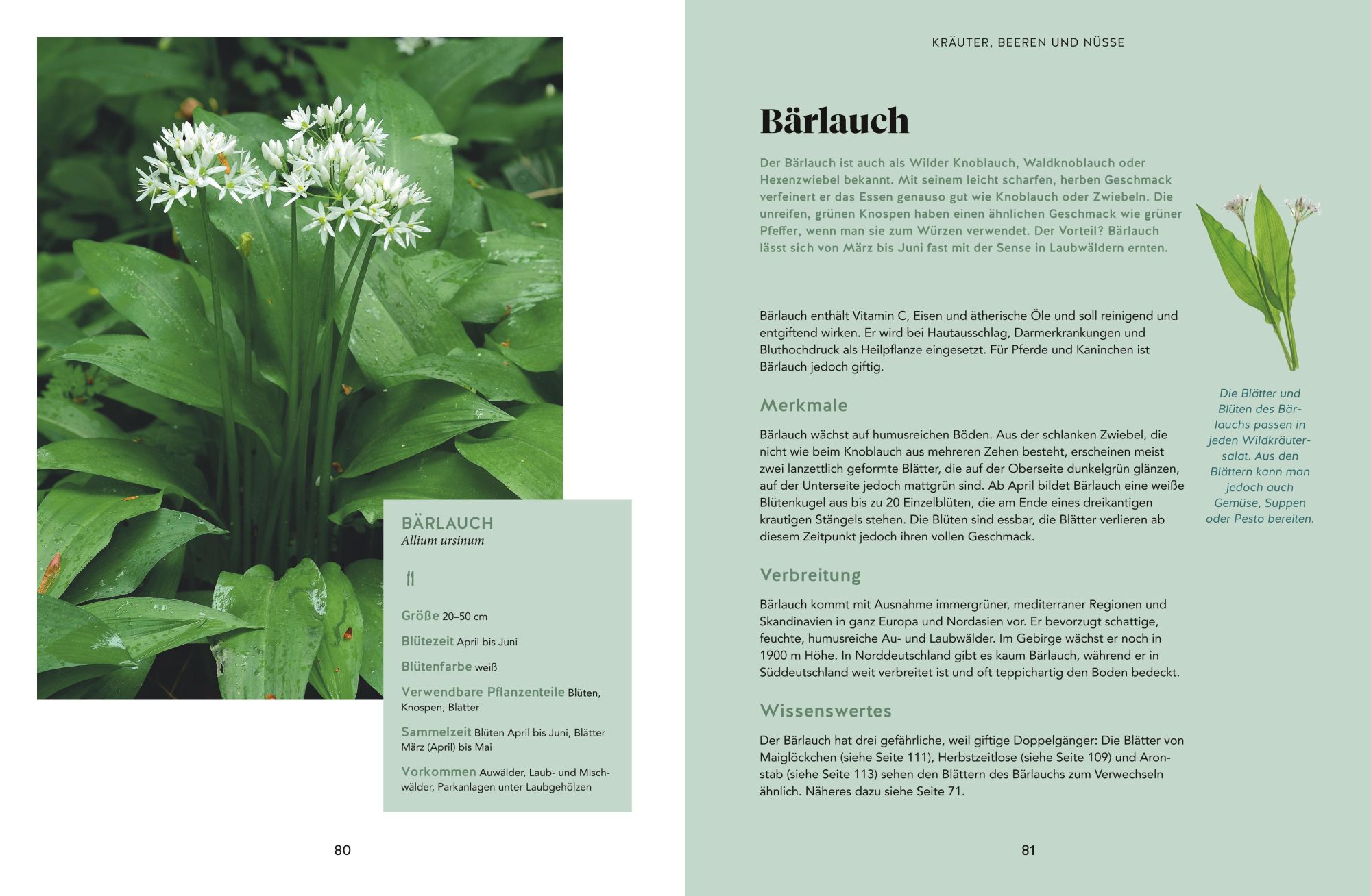 Bild: 9783833889844 | Abenteuer Wald | Fabian Regnery (u. a.) | Buch | GU Natur | 192 S.