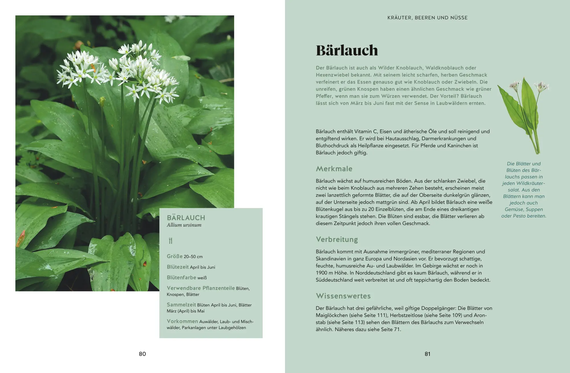 Bild: 9783833889844 | Abenteuer Wald | Fabian Regnery (u. a.) | Buch | GU Natur | 192 S.