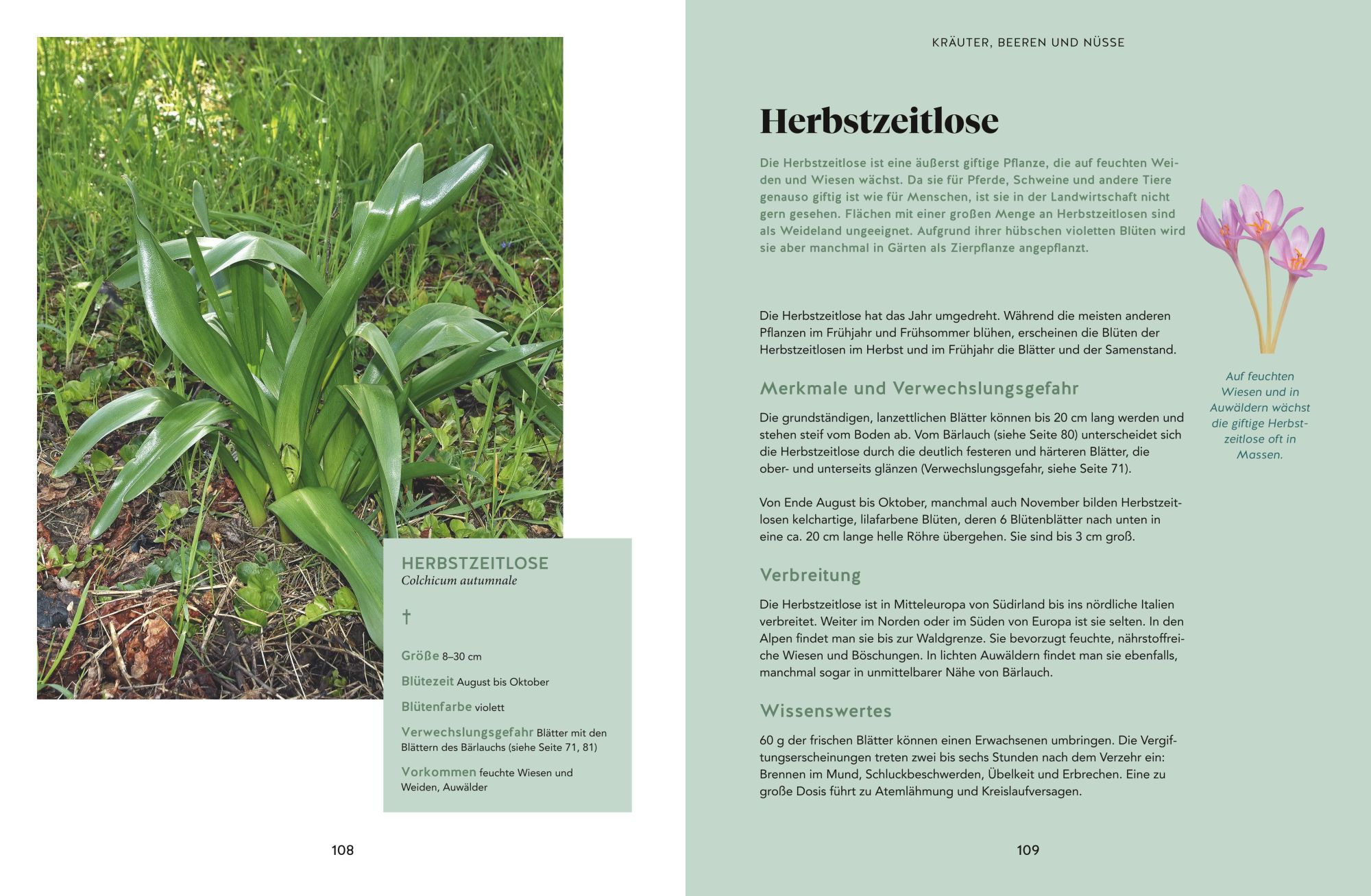 Bild: 9783833889844 | Abenteuer Wald | Fabian Regnery (u. a.) | Buch | GU Natur | 192 S.