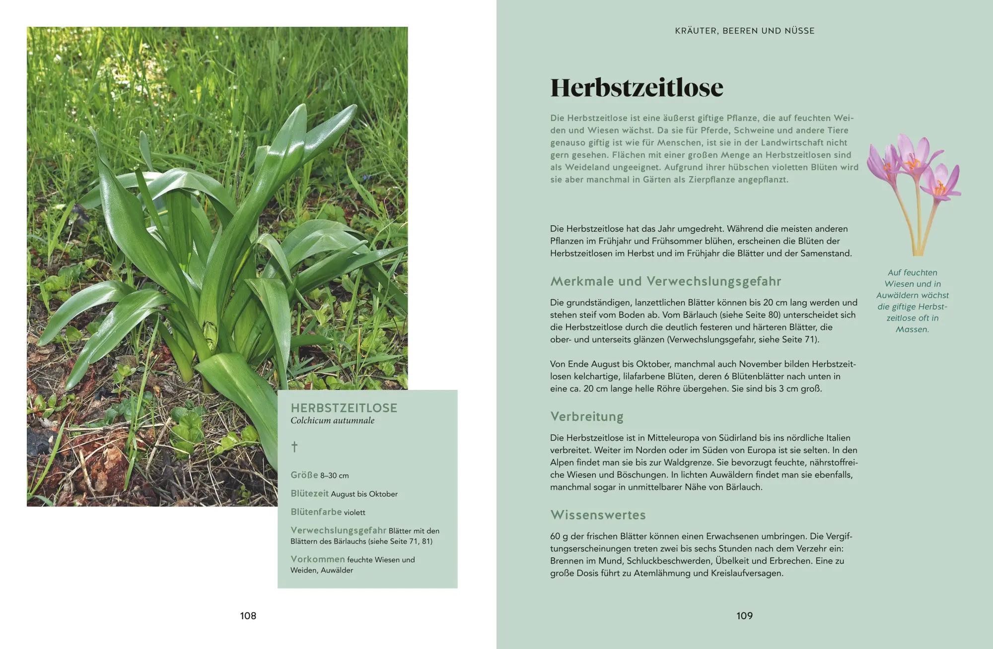 Bild: 9783833889844 | Abenteuer Wald | Fabian Regnery (u. a.) | Buch | GU Natur | 192 S.