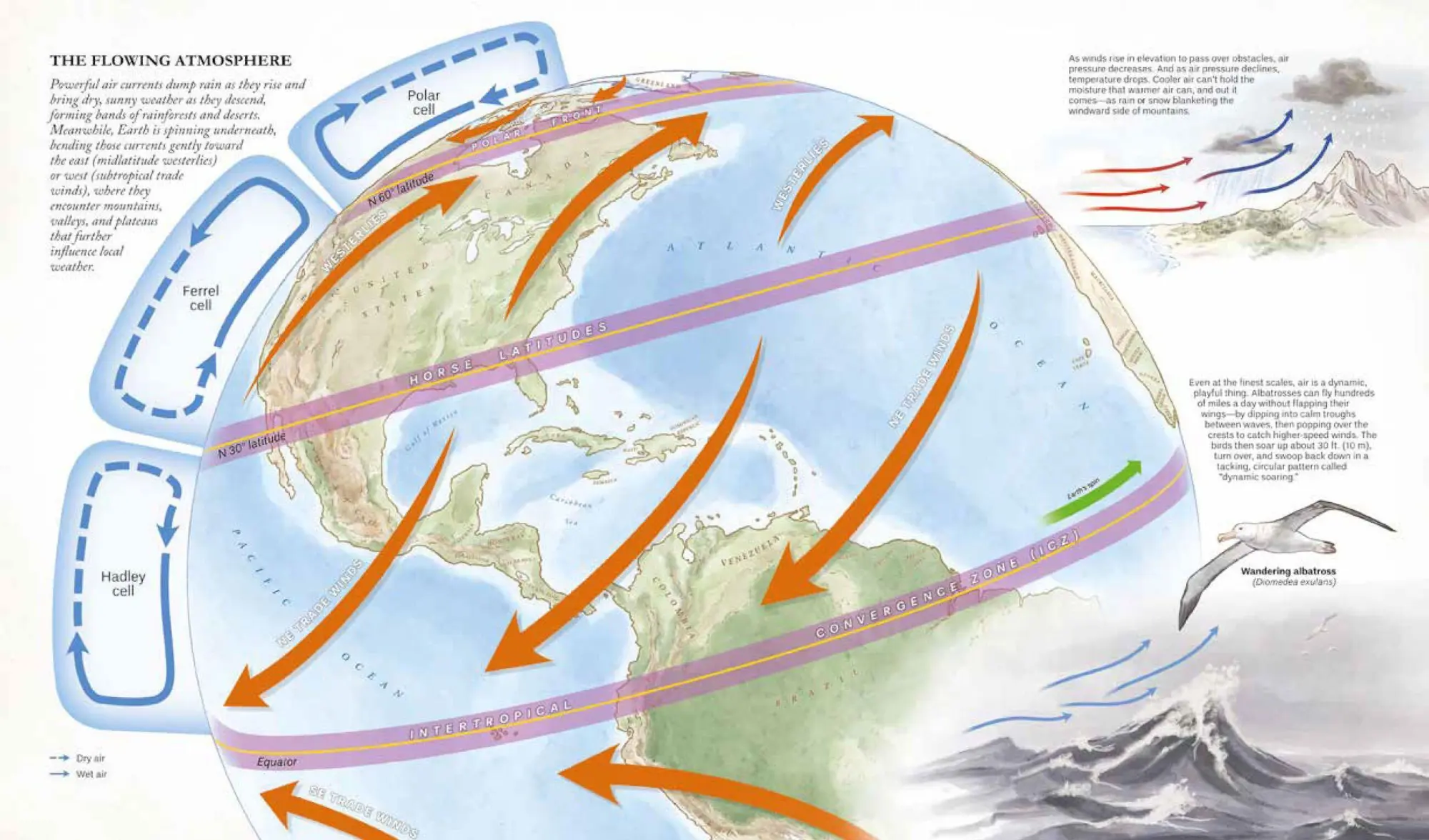Bild: 9781604699944 | The Atlas of a Changing Climate | Brian Buma | Buch | Gebunden | 2021