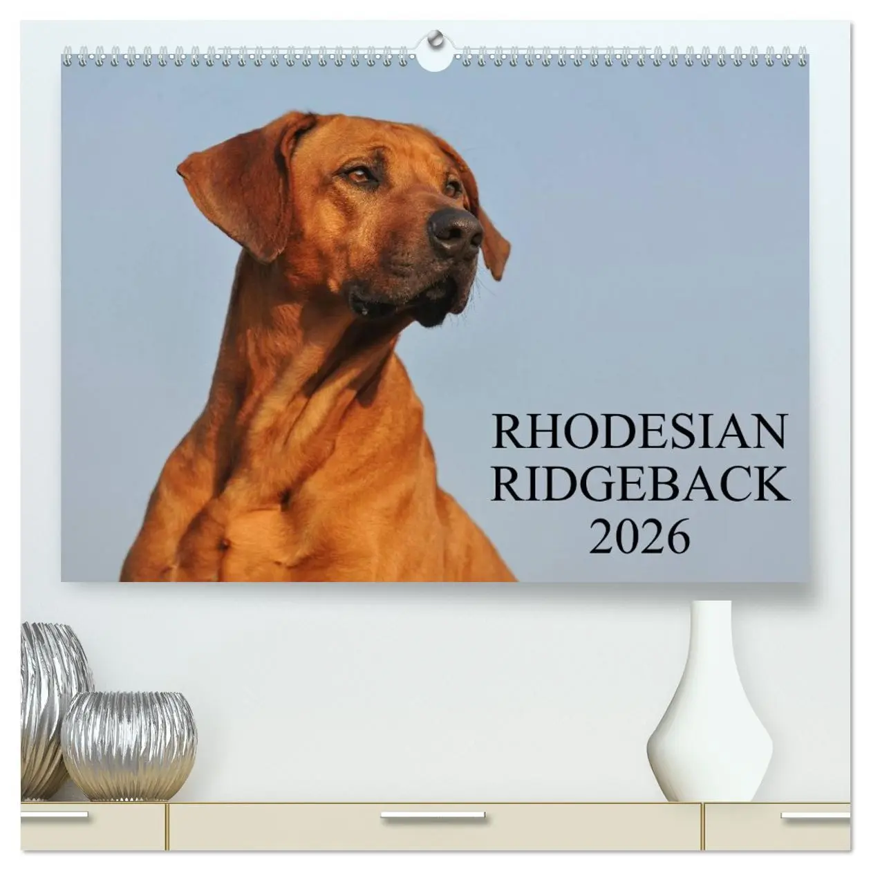 Cover: 9783516149944 | Rhodesian Ridgeback 2026 (hochwertiger Premium Wandkalender 2026...