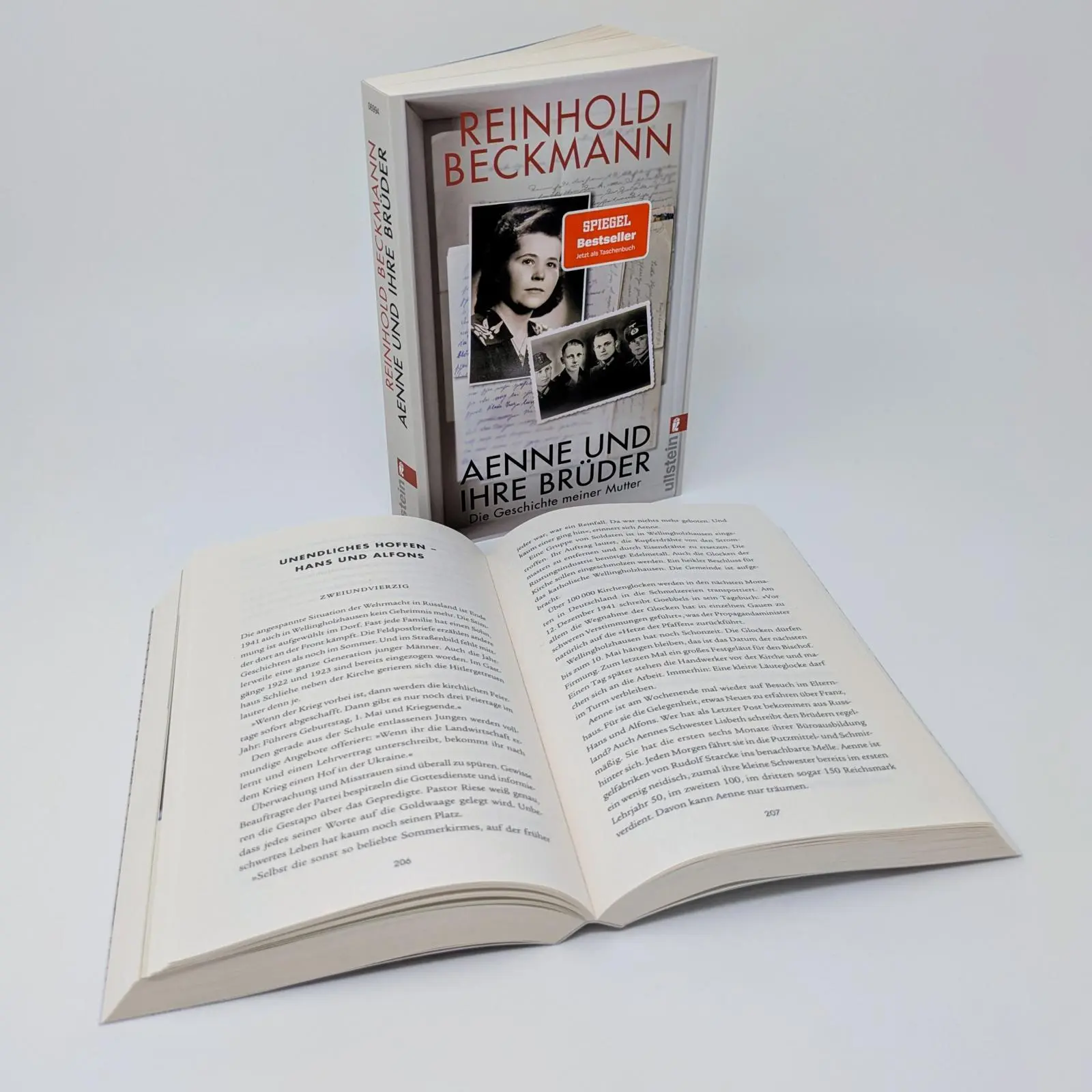Bild: 9783548069944 | Aenne und ihre Brüder | Reinhold Beckmann | Taschenbuch | 352 S.