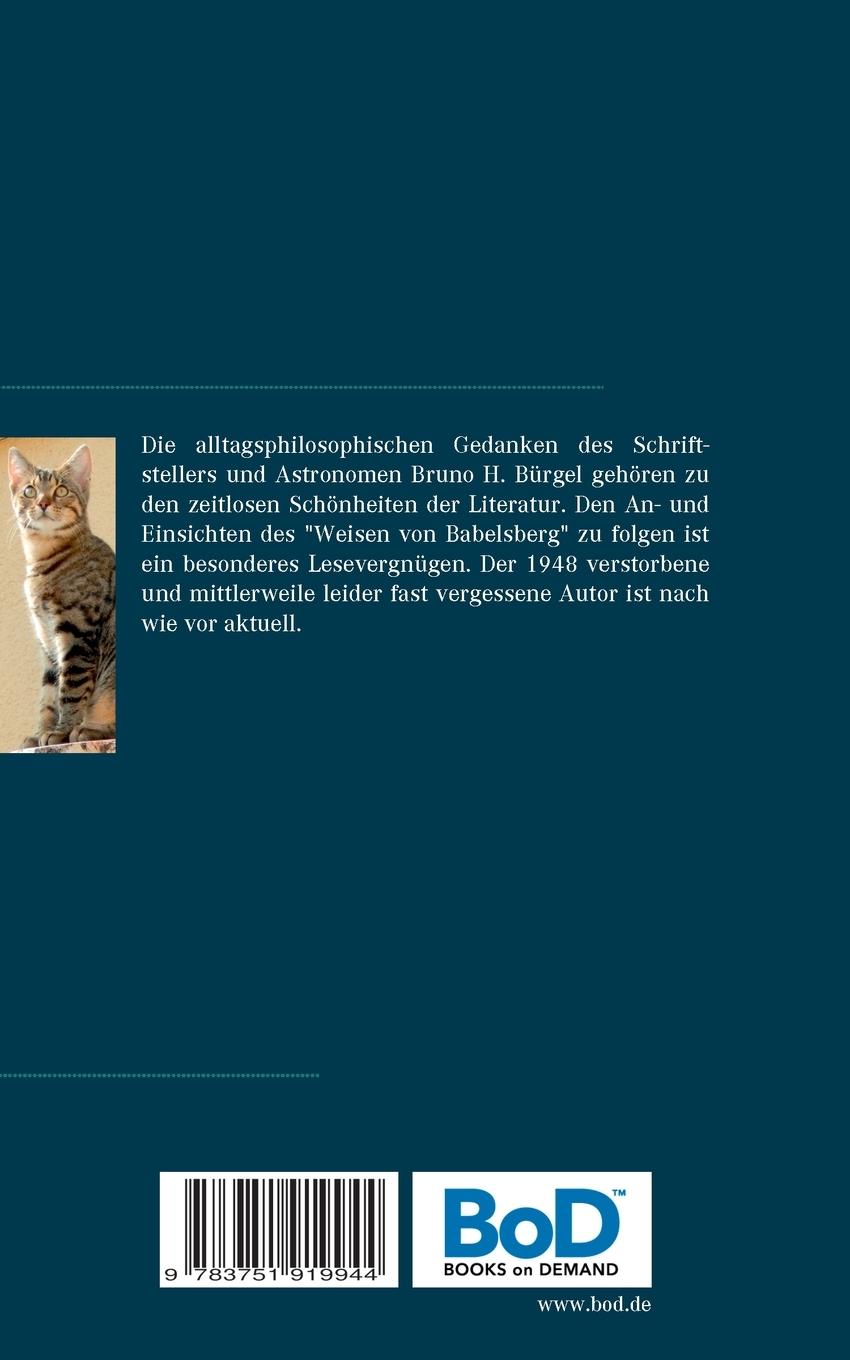 Rückseite: 9783751919944 | Leuchten sollst Du | Gedanken und Sentenzen | Bruno H. Bürgel | Buch