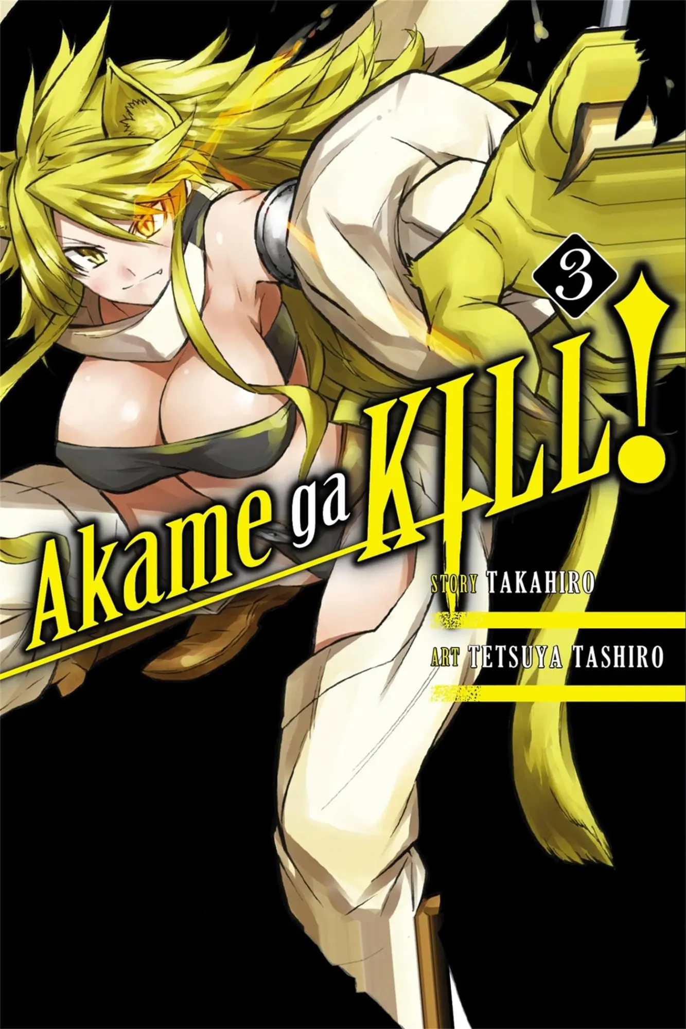 Cover: 9780316340045 | Akame Ga Kill!, Vol. 3 | Volume 3 | Takahiro | Taschenbuch | Englisch