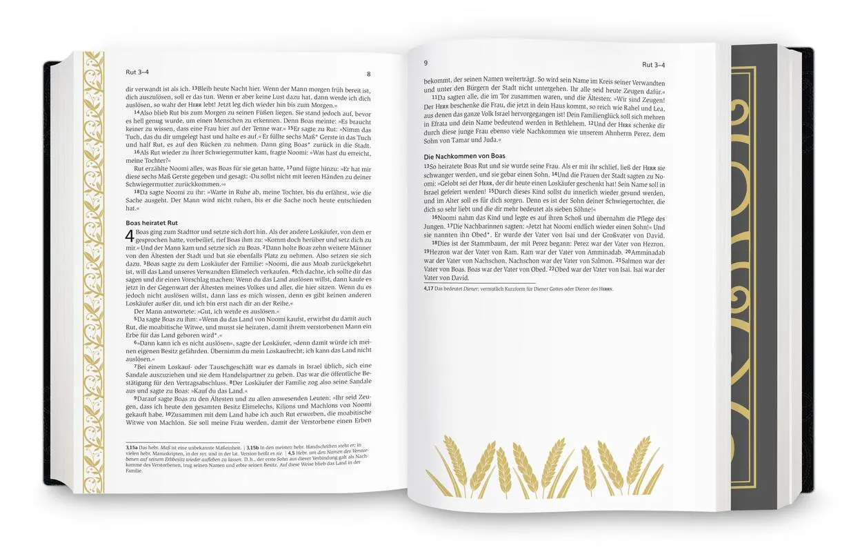 Bild: 9783417020045 | Neues Leben. Die Bibel - Golden Grace Edition, Tintenschwarz | Preston