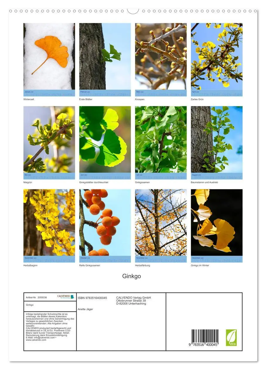 Bild: 9783516400045 | Ginkgo (hochwertiger Premium Wandkalender 2026 DIN A2 hoch),...