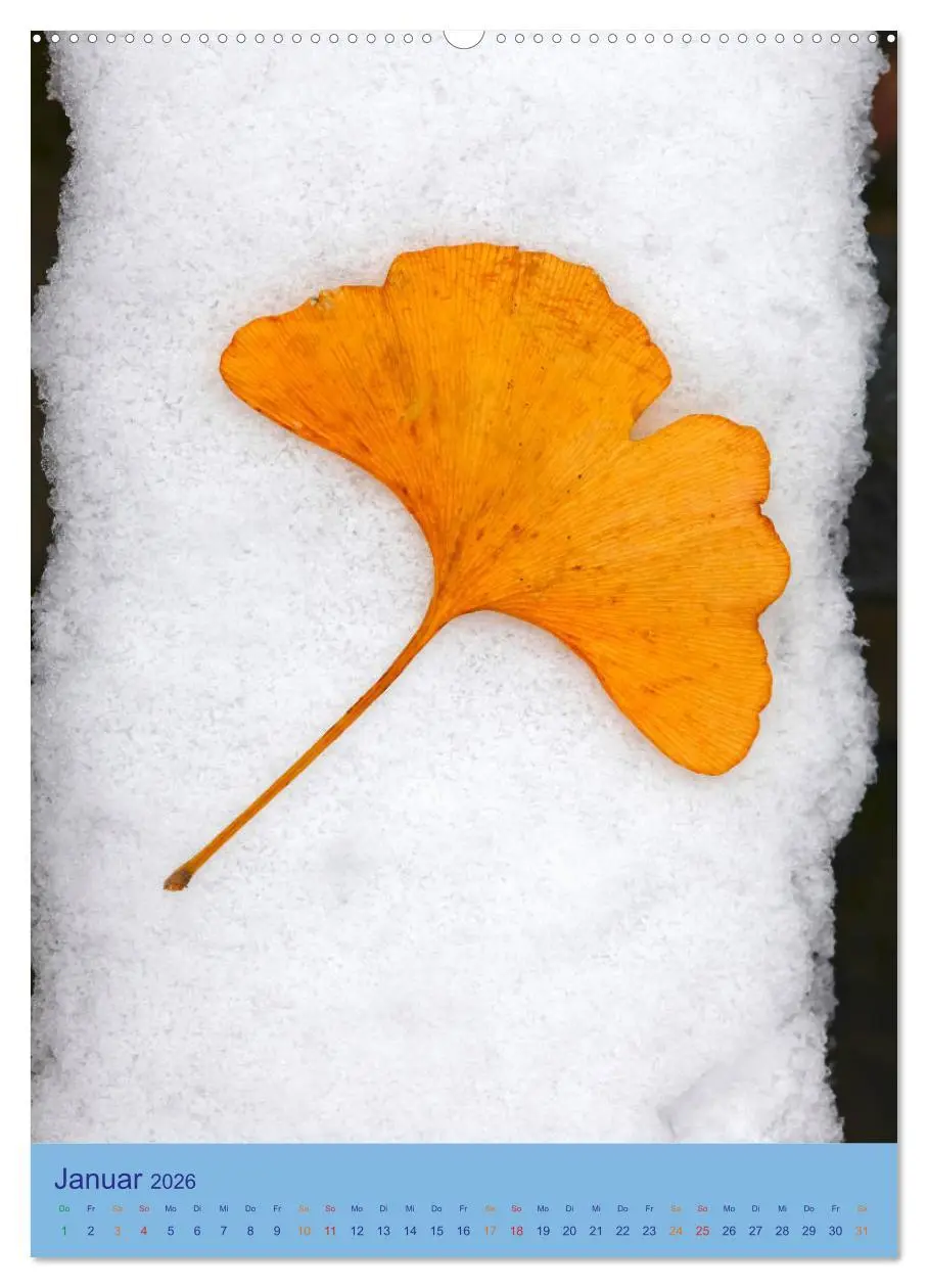 Bild: 9783516400045 | Ginkgo (hochwertiger Premium Wandkalender 2026 DIN A2 hoch),...