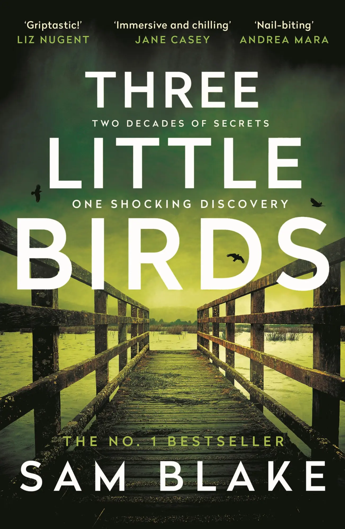 Cover: 9781805460145 | Three Little Birds | Sam Blake | Taschenbuch | Paperback | Englisch