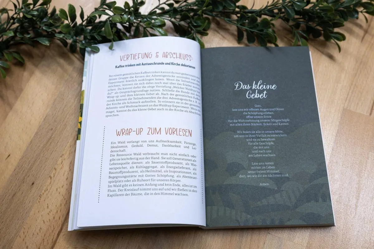 Bild: 9783417010145 | Bäume pflanzen, die in den Himmel wachsen | Dörte Heyn | Taschenbuch