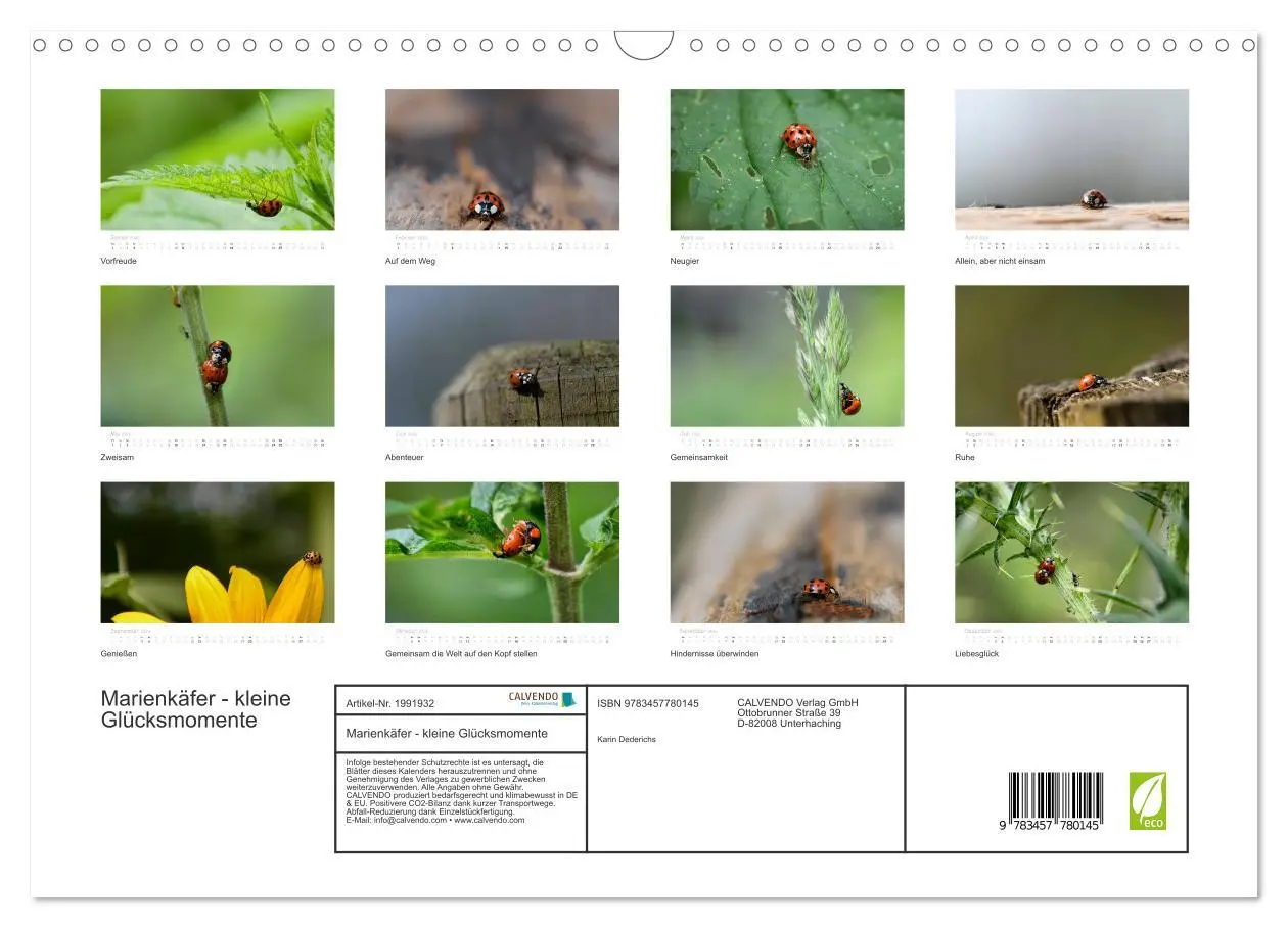 Bild: 9783457780145 | Marienkäfer - kleine Glücksmomente (Wandkalender 2026 DIN A3 quer),...