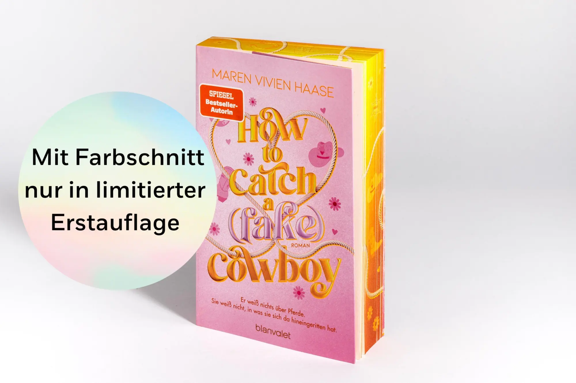 Bild: 9783764510145 | How to Catch a (Fake) Cowboy | Maren Vivien Haase | Taschenbuch | 2026