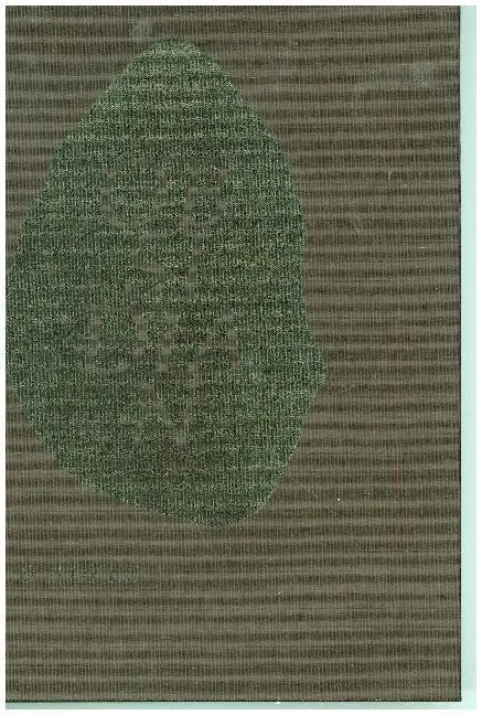 Cover: 9783954760145 | Eva &amp; Adele | Obsidian. Hrsg.: Marta Herford | Marta Herford | Buch
