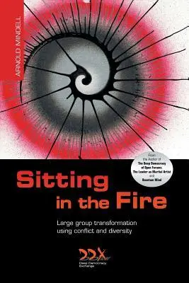 Cover: 9781619710245 | Sitting in the Fire | Arnold Mindell | Taschenbuch | Englisch | 2014