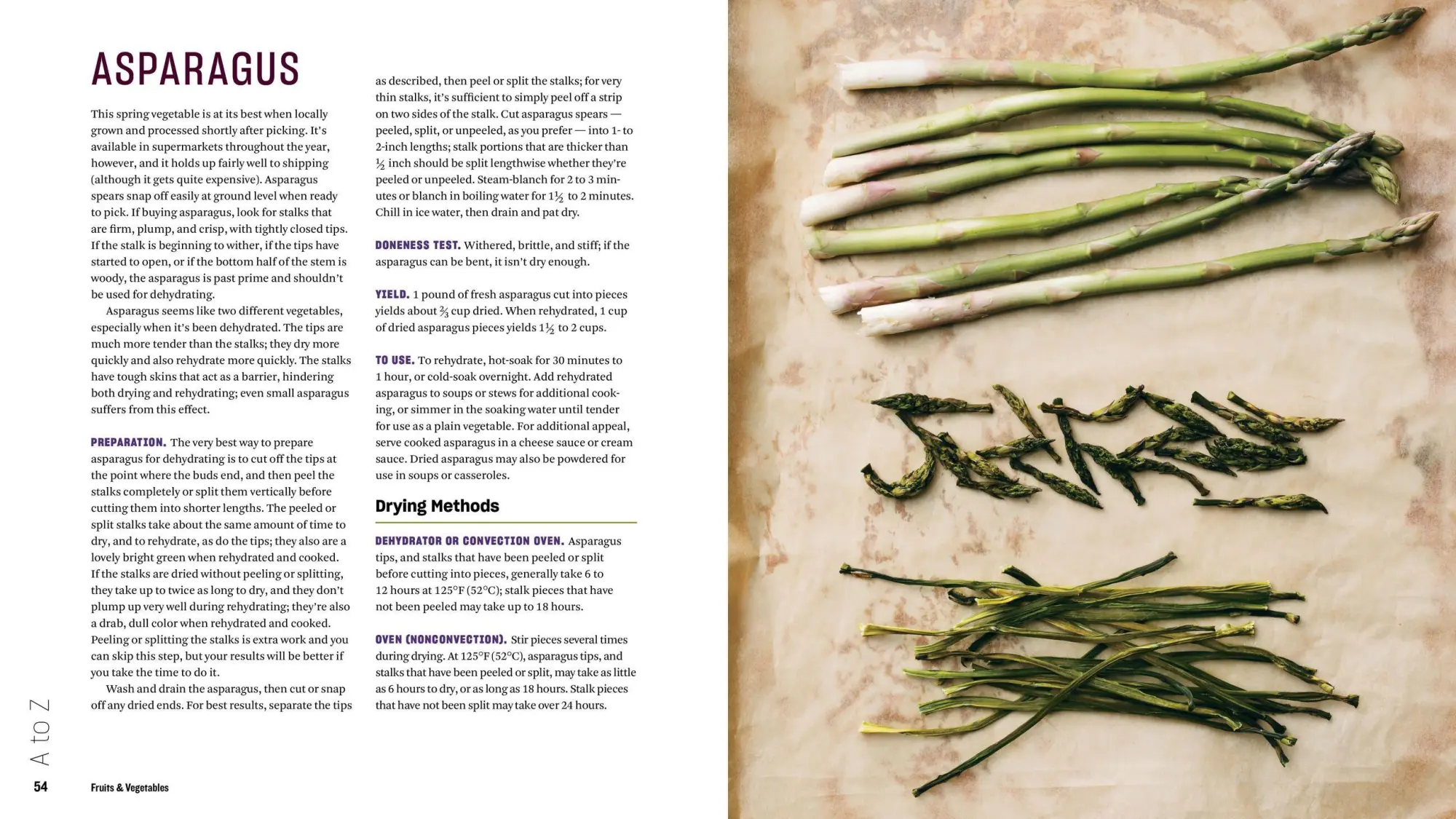 Bild: 9781635860245 | The Beginner's Guide to Dehydrating Food, 2nd Edition | Teresa Marrone
