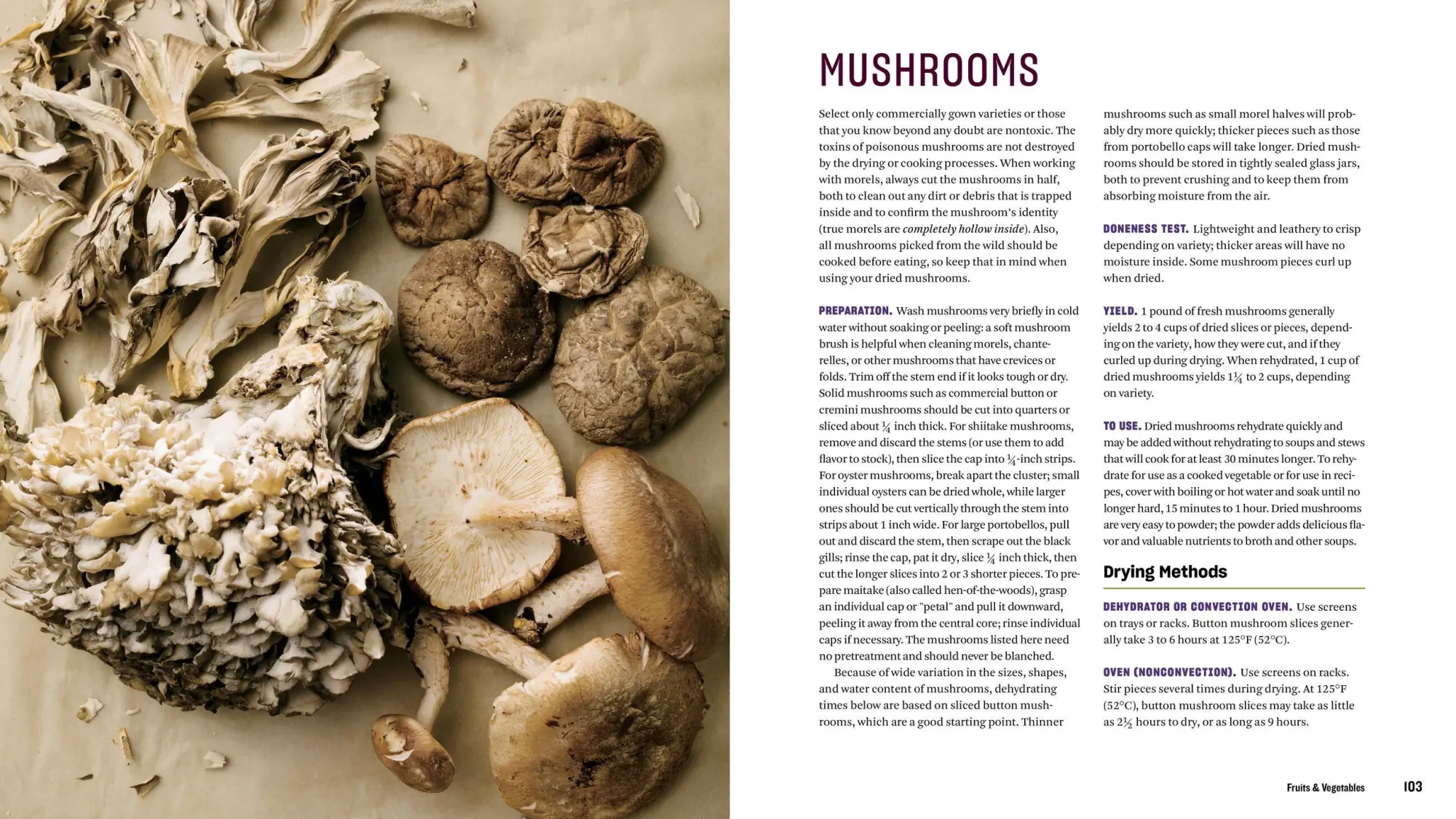 Bild: 9781635860245 | The Beginner's Guide to Dehydrating Food, 2nd Edition | Teresa Marrone