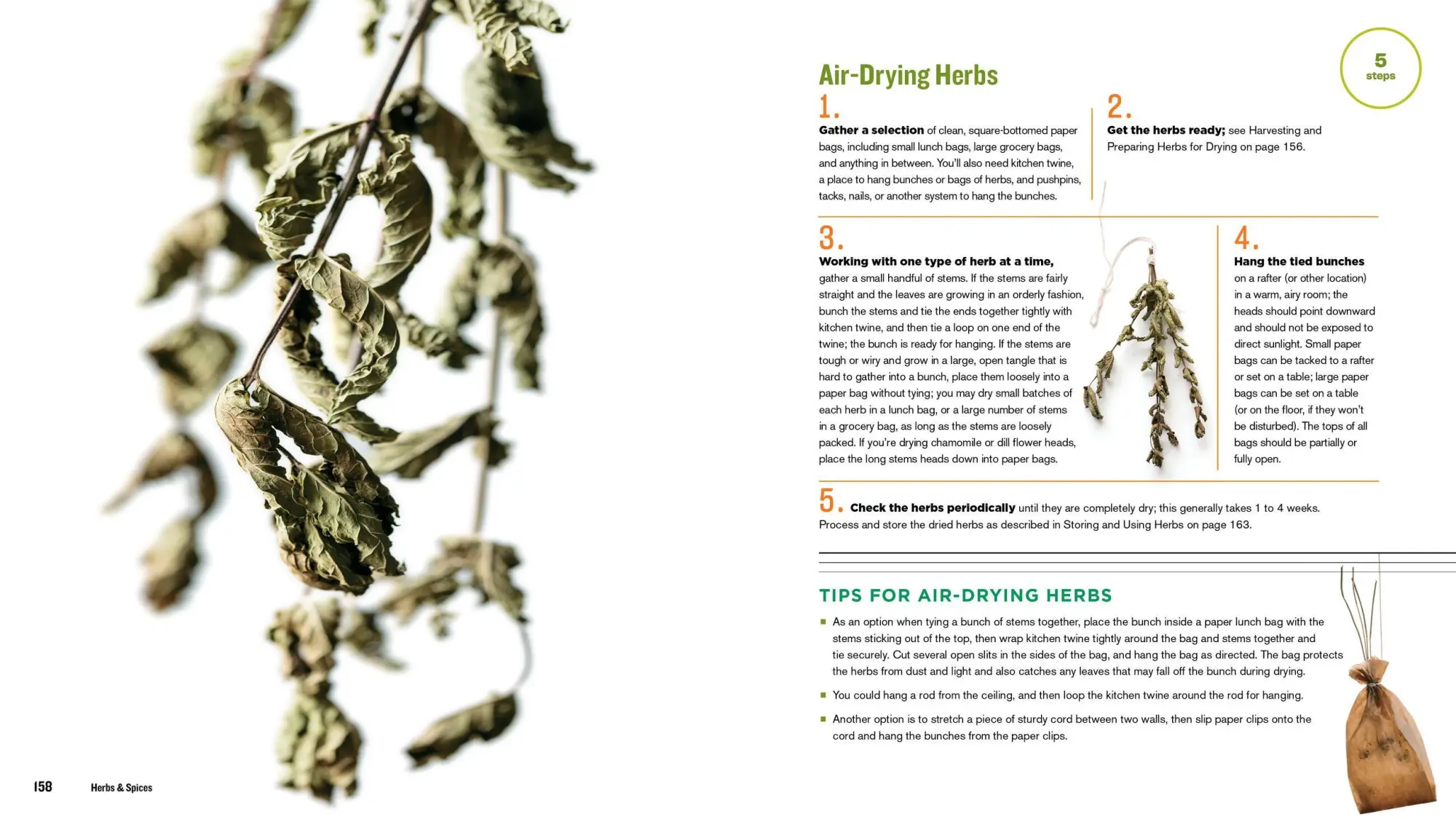 Bild: 9781635860245 | The Beginner's Guide to Dehydrating Food, 2nd Edition | Teresa Marrone