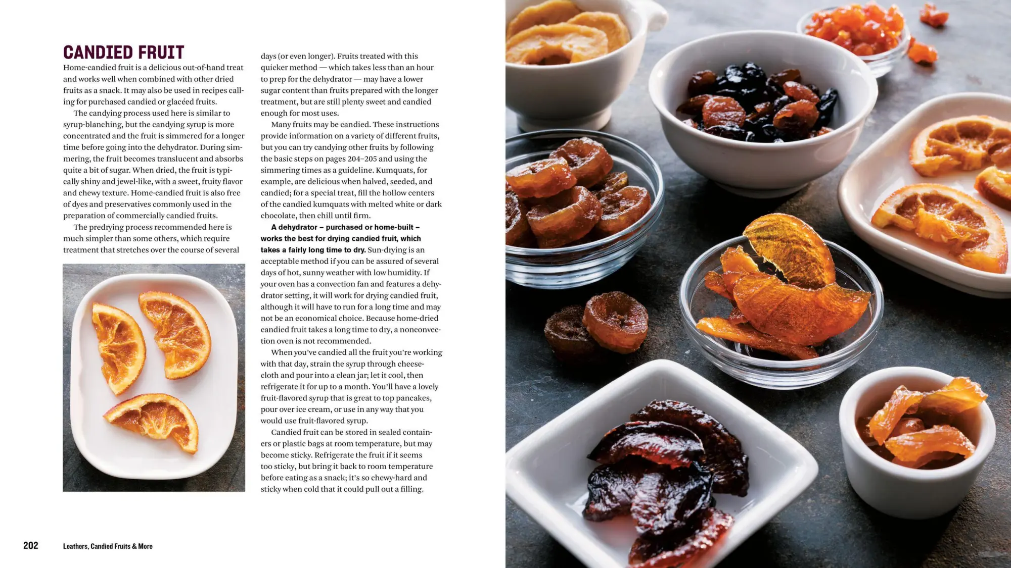 Bild: 9781635860245 | The Beginner's Guide to Dehydrating Food, 2nd Edition | Teresa Marrone