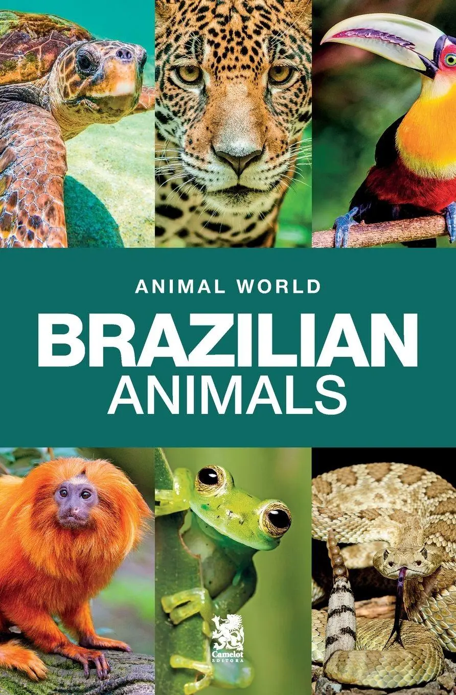 Cover: 9786560950245 | Animal World | Brazilian Animals | Camelot Editora Editora | Buch