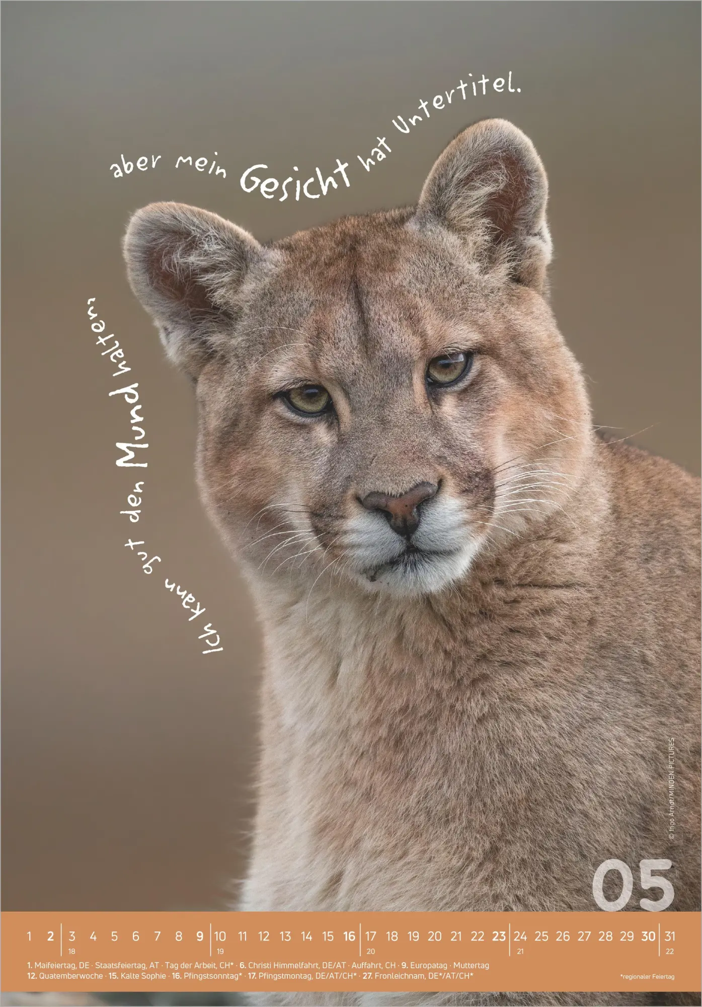 Bild: 4069095010345 | Tierisch cool! 2027 | Neumann Verlage GmbH &amp; Co KG | Kalender | 14 S.