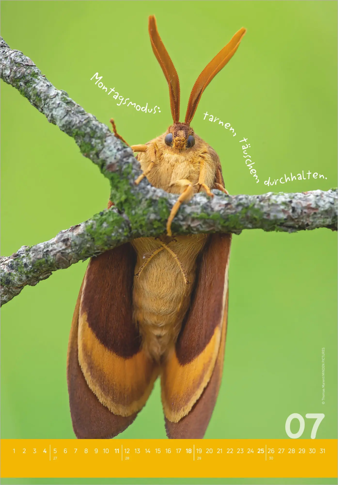 Bild: 4069095010345 | Tierisch cool! 2027 | Neumann Verlage GmbH &amp; Co KG | Kalender | 14 S.