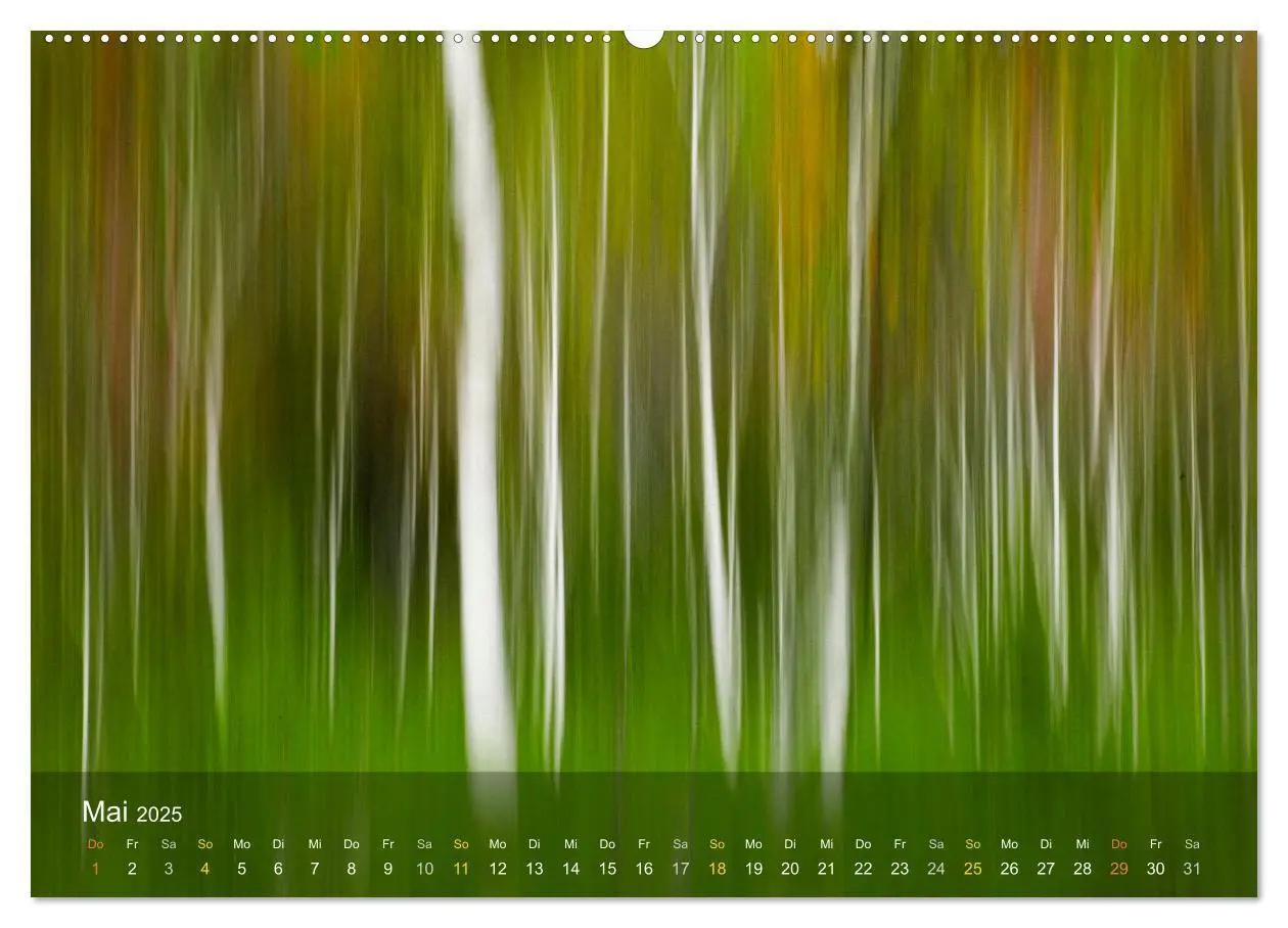 Bild: 9783383890345 | Das Schweigen der Bäume (Wandkalender 2025 DIN A2 quer), CALVENDO...