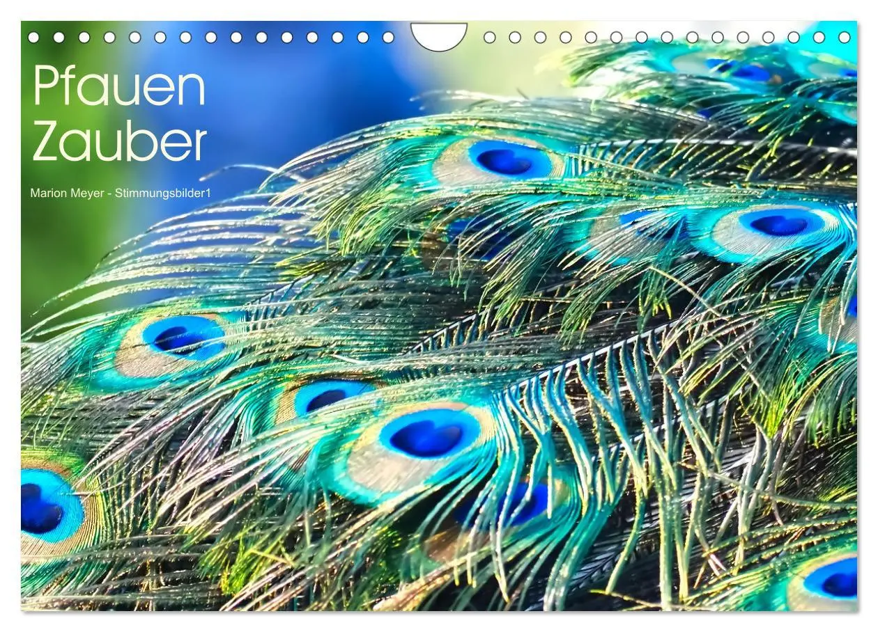 Cover: 9783457380345 | Pfauen Zauber (Wandkalender 2026 DIN A4 quer), CALVENDO Monatskalender