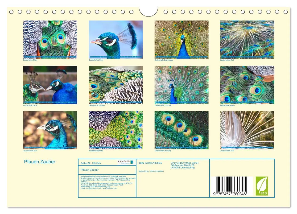 Bild: 9783457380345 | Pfauen Zauber (Wandkalender 2026 DIN A4 quer), CALVENDO Monatskalender