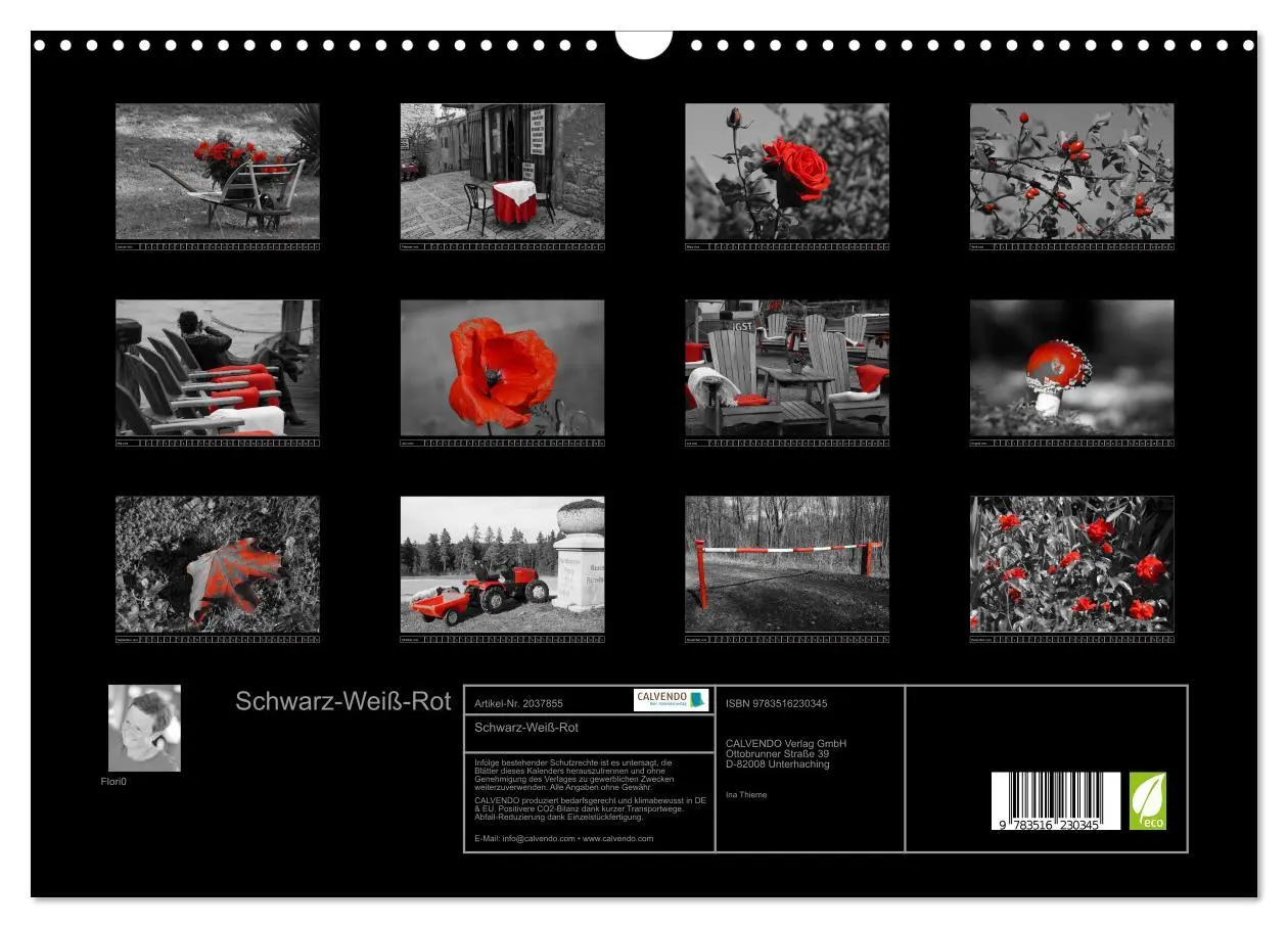 Bild: 9783516230345 | Schwarz-Weiß-Rot (Wandkalender 2026 DIN A3 quer), CALVENDO...