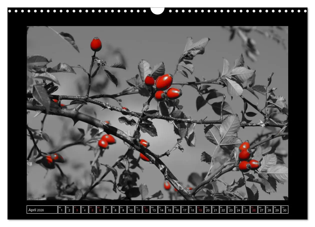 Bild: 9783516230345 | Schwarz-Weiß-Rot (Wandkalender 2026 DIN A3 quer), CALVENDO...