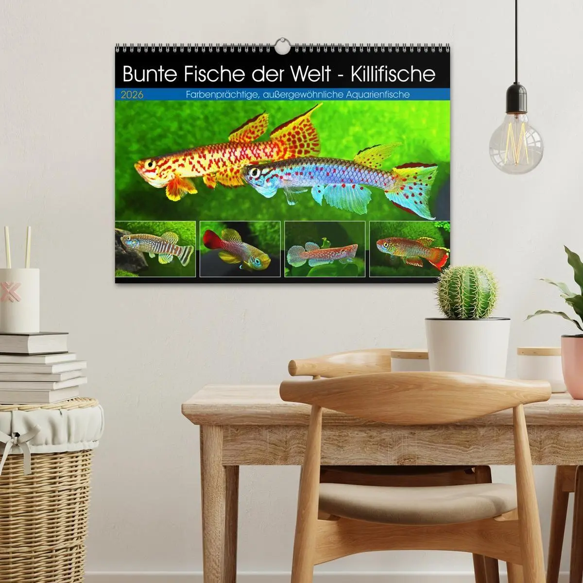 Bild: 9783457990445 | Bunte Fische der Welt - Killifische (Wandkalender 2026 DIN A3...