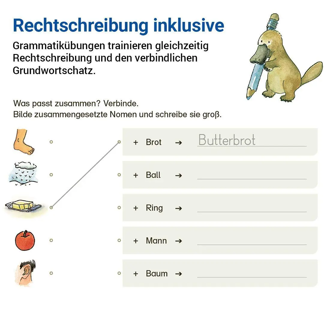 Bild: 9783619420445 | Grammatik mit Rico Schnabel, Klasse 4 - silbierte Ausgabe | Buch