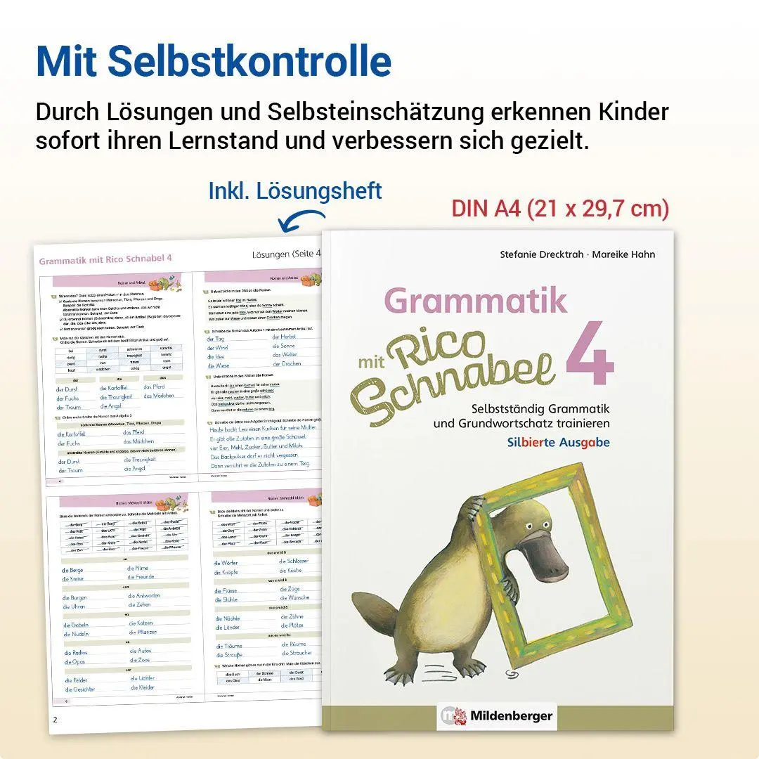 Bild: 9783619420445 | Grammatik mit Rico Schnabel, Klasse 4 - silbierte Ausgabe | Buch