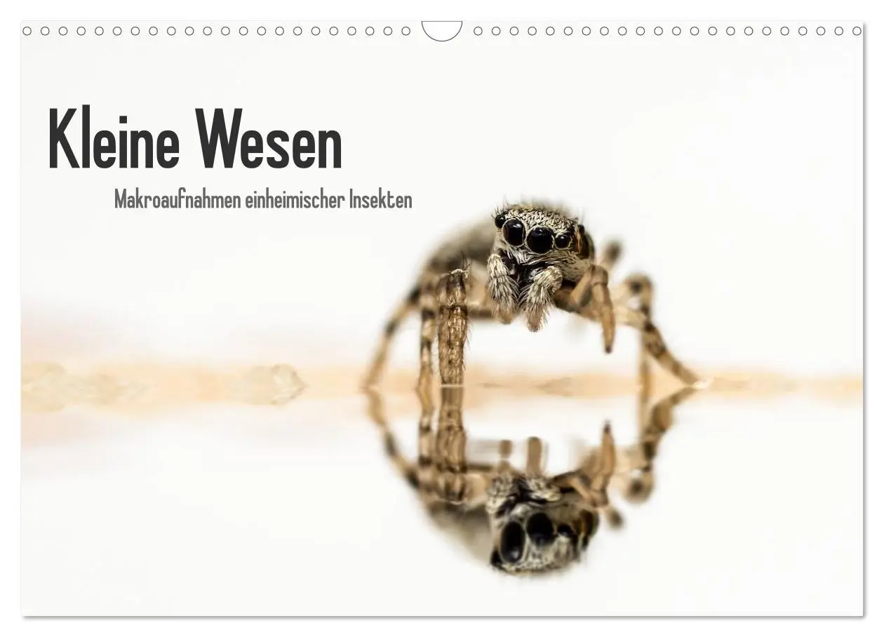 Cover: 9783516210545 | Kleine Wesen - Makroaufnahmen von einheimischen Insekten...