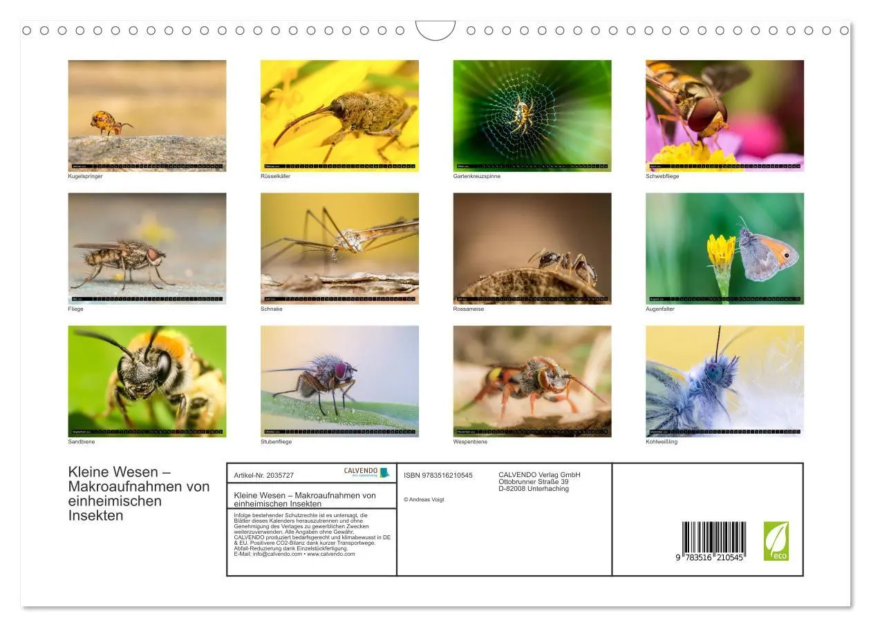 Bild: 9783516210545 | Kleine Wesen - Makroaufnahmen von einheimischen Insekten...