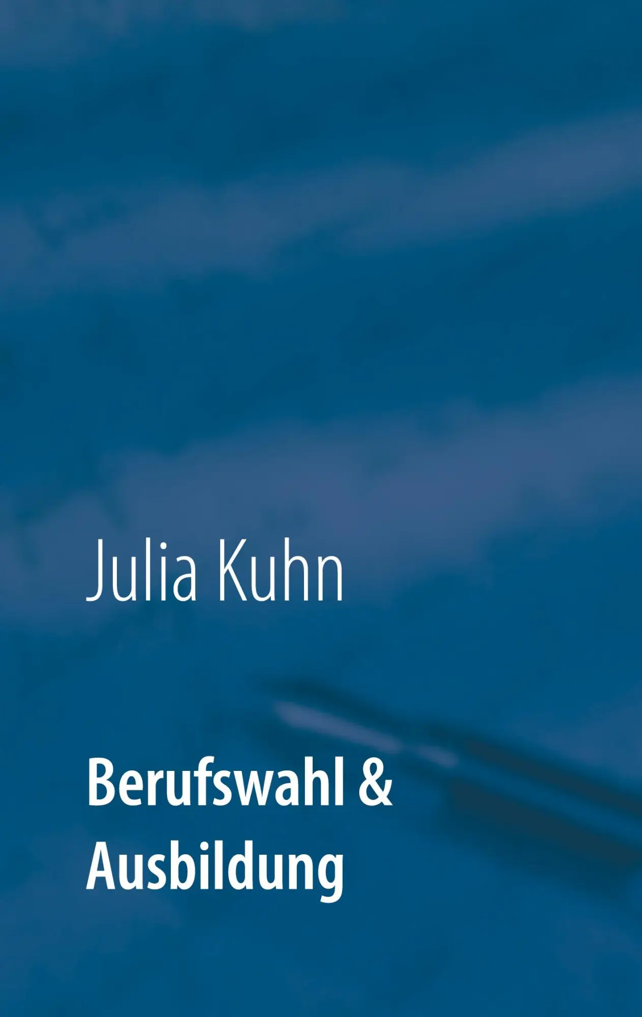 Cover: 9783752690545 | Berufswahl &amp; Ausbildung | Das biknetz.de Buch | Julia Kuhn | Buch